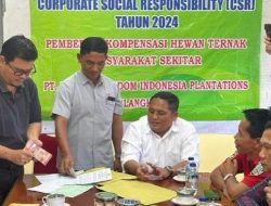 Belasan Ekor Lembu Warga di Langkat Mati Mendadak, Ini Kata PT UKIP