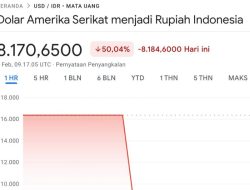 Rupiah Tiba-tiba Menguat Terhadap Dollar, Ditepis BI dan Google