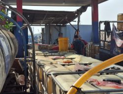 Dua Gudang BBM Ilegal di Belawan Digerebek Tim Gabungan BAIS TNI