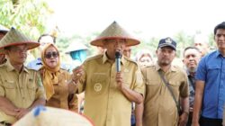 Syah Afandin : Padi Varietas Inpari 33 Wujudkan Kemandirian Pertanian Langkat