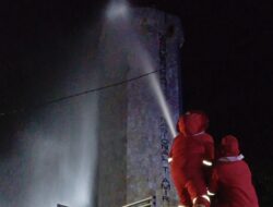 Meresahkan, Damkar Langkat Evakuasi Lebah Bersarang di Monumen Amir Hamzah