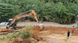 Kepanasan, Perusak Kawasan Hutan di Bahorok Intimidasi Awak Media