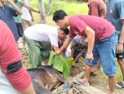 Baitul Muthahhar: Qurban Idul Adha dan Jejak Ajaran Prof. Kadirun Yahya
