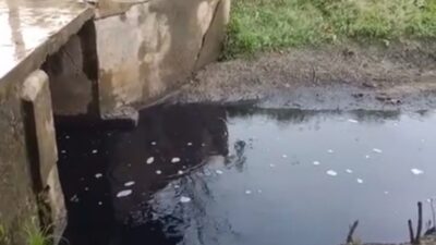 PT KPU Cemari Lingkungan, Warga: Dibekingi Anggota DPRD Langkat