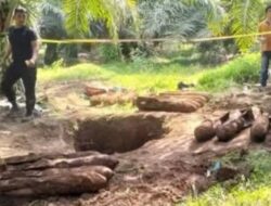 Ada Bom di Areal Perkebunan Sawit, Warga Langkat Heboh