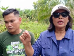 Kolam Renang di Kawasan Hutan Diduga Milik Bupati Langkat, Aktivis Lingkungan : APH Harus Bertindak