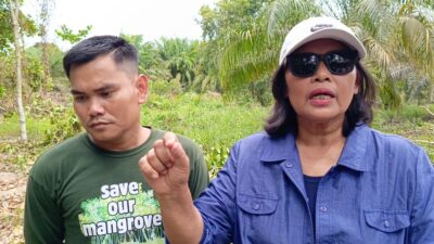 Kolam Renang di Kawasan Hutan Diduga Milik Bupati Langkat, Aktivis Lingkungan : APH Harus Bertindak