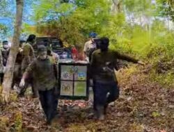 Bejo dan Keluarganya Kembali ke Alam, BKSDA Lepasliarkan Siamang di TNGL