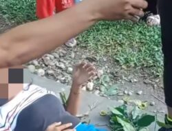 Pohon Patah Telan Korban Jiwa, Bupati Langkat Ambil Langkah Tegas