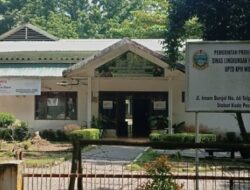 Perusakan Hutan di Bahorok, Kadis LHK Sumut : Kalau KPH Tak Sanggup, Saya yang Turun