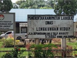 Pohon Patah Renggut Korban Jiwa, Copot Kadis LH Langkat Bergema