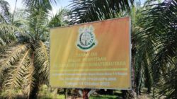 Setelah PT KPU, Netizen : DS Diduga Bekingi Perambah Kawasan SMKGLTL