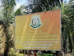 Setelah PT KPU, Netizen : DS Diduga Bekingi Perambah Kawasan SMKGLTL