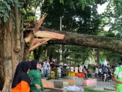 Pelajar Meninggal Tertimpa Pohon, Warganet : Apa Tunggu Pejabat Ketimpa Baru Pohon Dirapikan