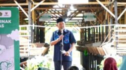 Bangkitkan Ekonomi Umat, Bupati Langkat Dorong Balai Ternak Hadir hingga Kecamatan