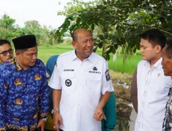 Pemkab Langkat Segera Lakukan Peremajaan Pohon Tua dan Rentan