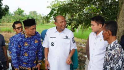 Pemkab Langkat Segera Lakukan Peremajaan Pohon Tua dan Rentan
