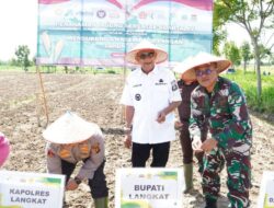 Tanam Jagung Serentak, Ondim: Memperkuat Ketahanan Pangan Daerah
