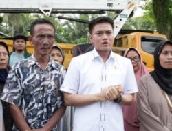 Pemkab Langkat Didesak Remajakan Pohon, Ricky Anthony: Jangan Sampai Ada Korban Lagi