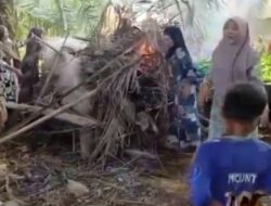 Aksi Berani Ibu-ibu Perwiritan Bakar Lokasi Diduga Sarang Narkotika di Tanjung Pura
