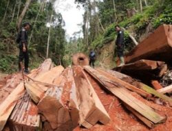 Ketua DPW NasDem Sumut Desak Menhut Buka Data Perusahaan Perusak Hutan