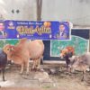 Idul Adha 1447 H, KOMBAT Sembelih 56 Hewan Kurban