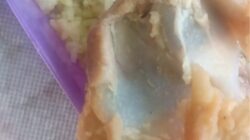 Menu MBG di Langkat Disorot, Wali Murid Temukan Dugaan Ulat pada Ayam Goreng