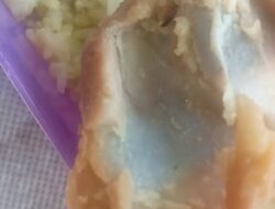 Menu MBG di Langkat Disorot, Wali Murid Temukan Dugaan Ulat pada Ayam Goreng