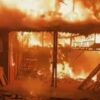 Peternakan Terbakar di Binjai, Ribuan Nyawa Melayang dan Kerugian Capai Ratusan Juta