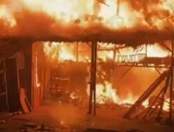 Peternakan Terbakar di Binjai, Ribuan Nyawa Melayang dan Kerugian Capai Ratusan Juta