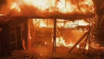 Peternakan Terbakar di Binjai, Ribuan Nyawa Melayang dan Kerugian Capai Ratusan Juta