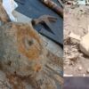 Cangkul Pekarangan, Warga Teluk Bakung Temukan Benda Diduga Bom Ranjau
