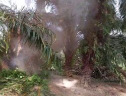 Diduga Bom Ranjau, Tim Gegana Lakukan Disposal di Teluk Bakung