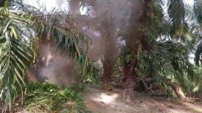 Diduga Bom Ranjau, Tim Gegana Lakukan Disposal di Teluk Bakung