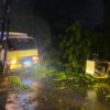 Pohon Patah di Stabat Timpa Terios, Warga Desak Pemkab Langkat Pangkas Pohon Tua