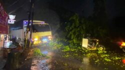 Pohon Patah di Stabat Timpa Terios, Warga Desak Pemkab Langkat Pangkas Pohon Tua