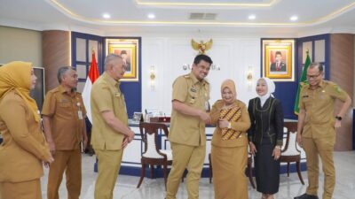 Mendagri Tunjuk Tiorita Br Surbakti sebagai Plt Bupati Langkat, Komitmen Lanjutkan Pembangunan