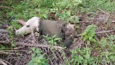 Warga Temukan Mayat Petani di Perladangan Sawit Langkat, Pergelangan Tangan Terlepas