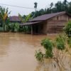 Banjir Rendam Sejumlah Wilayah di Langkat, Desa Sekoci Besitang Terparah