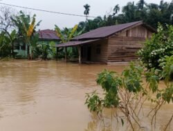 Banjir Rendam Sejumlah Wilayah di Langkat, Desa Sekoci Besitang Terparah