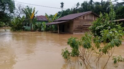 Banjir Rendam Sejumlah Wilayah di Langkat, Desa Sekoci Besitang Terparah