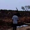 Konflik Lahan di Pesisir Langkat, Tapal Batas Tapak Kuda-Bubun Dipersoalkan
