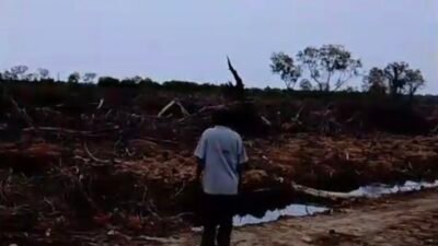 Konflik Lahan di Pesisir Langkat, Tapal Batas Tapak Kuda-Bubun Dipersoalkan