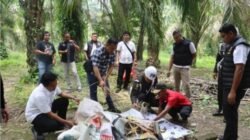 Sehari Menjabat, Kasat Narkoba Polres Langkat Gerebek Gubuk Kosong